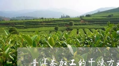 普洱茶加工的干燥方式/2023080249594