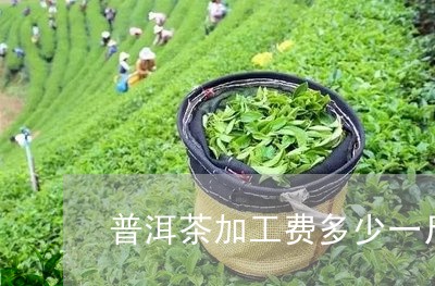 普洱茶加工费多少一斤啊/2023050455262