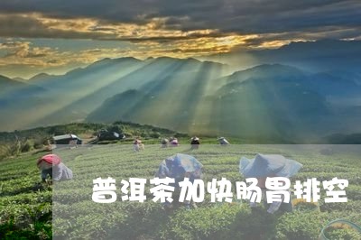 普洱茶加快肠胃排空/2023062893728