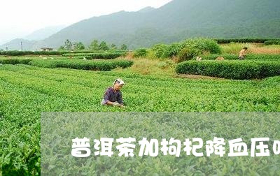 普洱茶加枸杞降血压吗/2023062155060