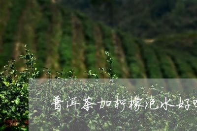 普洱茶加柠檬泡水好吗/2023080368303