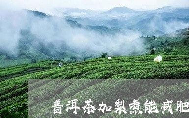 普洱茶加梨煮能减肥吗/2023061703717