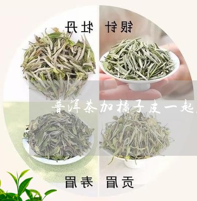 普洱茶加橘子皮一起煮/2023092608251