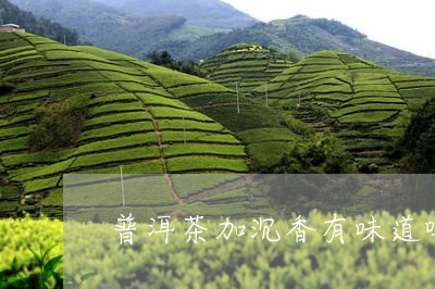 普洱茶加沉香有味道吗/2023092960706