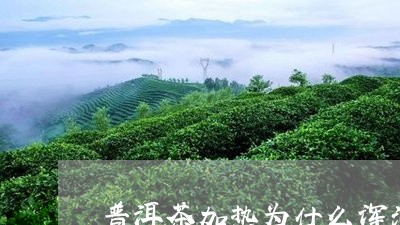 普洱茶加热为什么浑浊/2023062937260