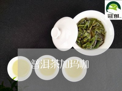 普洱茶加玛咖/2023042983790