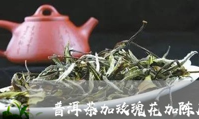 普洱茶加玫瑰花加陈皮/2023092948594