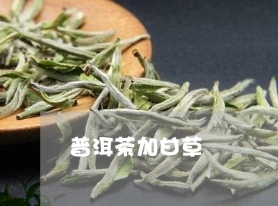 普洱茶加甘草/2023042957939