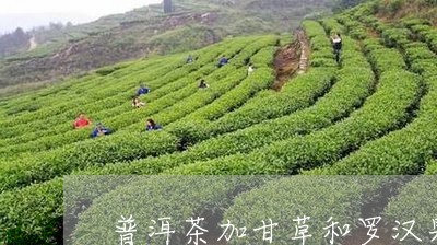 普洱茶加甘草和罗汉果/2023072359481