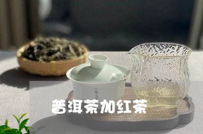 普洱茶加红茶/2023042988669