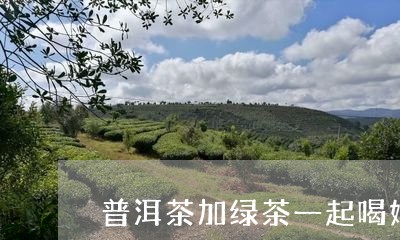 普洱茶加绿茶一起喝好吗/2023081558581