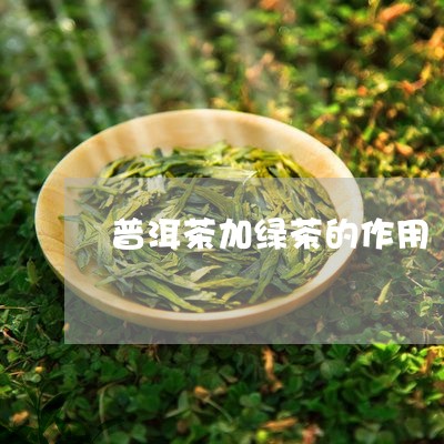 普洱茶加绿茶的作用/2023112775279