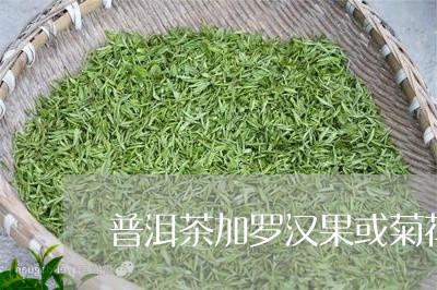 普洱茶加罗汉果或菊花/2023072113737