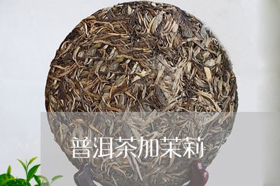 普洱茶加茉莉/2023042838787