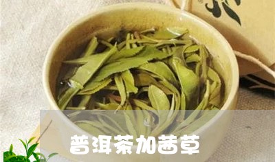 普洱茶加茜草/2023042857342