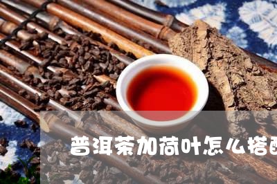 普洱茶加荷叶怎么搭配/2023100694937