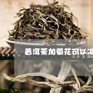 普洱茶加菊花可以减肥/2023100795037