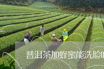 普洱茶加蜂蜜能洗脸吗/2023072419582