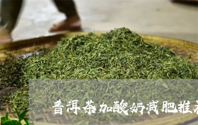 普洱茶加酸奶减肥推荐/2023080267171