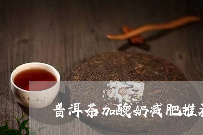 普洱茶加酸奶减肥推荐/2023100758494