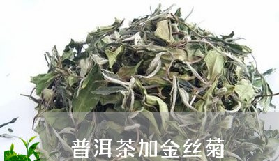 普洱茶加金丝菊/2023121681794