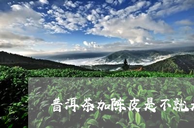 普洱茶加陈皮是不就是/2023072233716