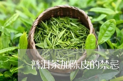 普洱茶加陈皮的禁忌/2023071009703