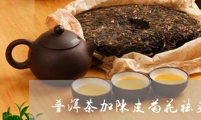 普洱茶加陈皮菊花祛痰湿/2023122044826