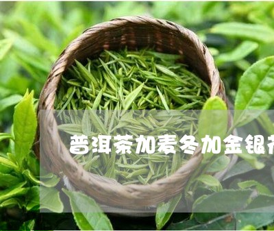 普洱茶加麦冬加金银花/2023092983835