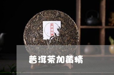 普洱茶加黄精/2023042662072