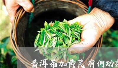 普洱茶加黄芪有何功效/2023073196068