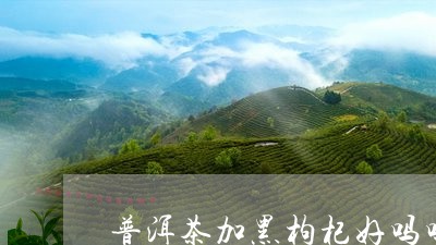 普洱茶加黑枸杞好吗吗/2023062935150