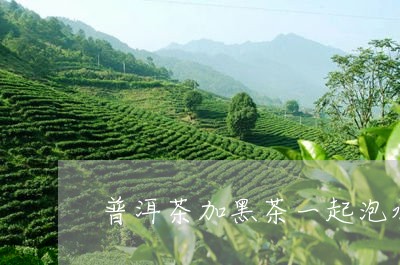 普洱茶加黑茶一起泡水可以吗/2023052894935