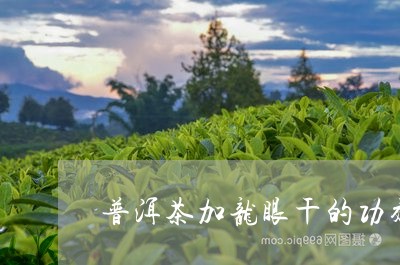 普洱茶加龙眼干的功效/2023073106959