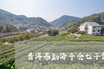 普洱茶勐海干仓七子饼/2023061602826