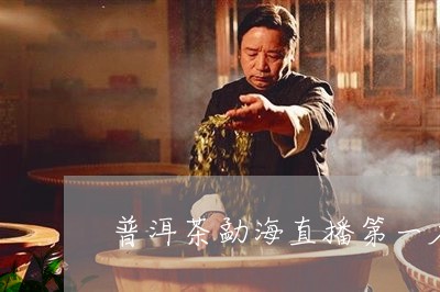 普洱茶勐海直播第一名/2023112748389