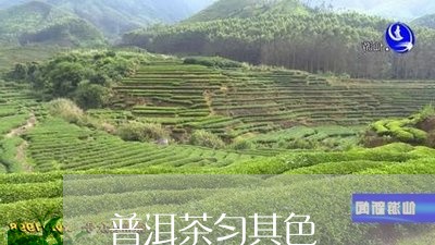 普洱茶匀其色/2023090626240