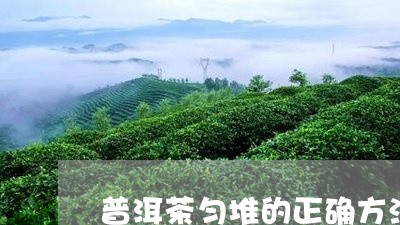 普洱茶匀堆的正确方法/2023120652592