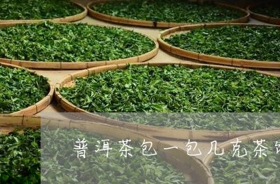 普洱茶包一包几克茶饼多少钱/2023121615936