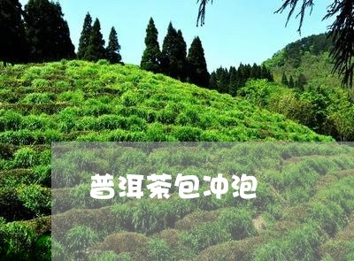 普洱茶包冲泡/2023042861929