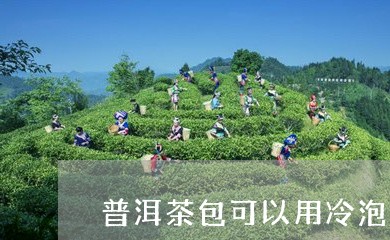 普洱茶包可以用冷泡吗/2023092694837