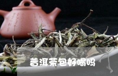 普洱茶包好喝吗/2023120318351