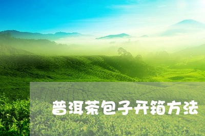 普洱茶包子开箱方法/2023112710684