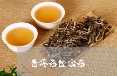 普洱茶包容茶/2023042878404