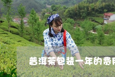 普洱茶包装一年的费用/2023092733926