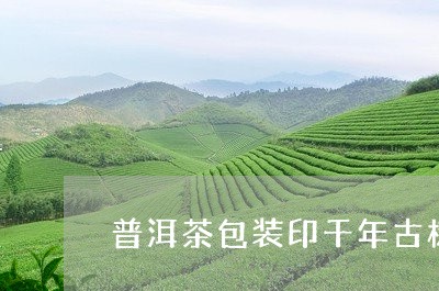 普洱茶包装印千年古树/2023092674737