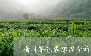 普洱茶包装原因分析方法/2023082944939