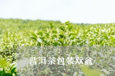 普洱茶包装双盒/2023102647381