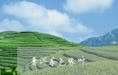 普洱茶包装叶/2023042987522