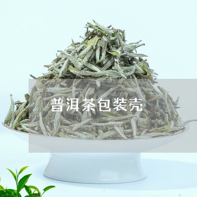 普洱茶包装壳/2023042679367